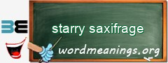 WordMeaning blackboard for starry saxifrage